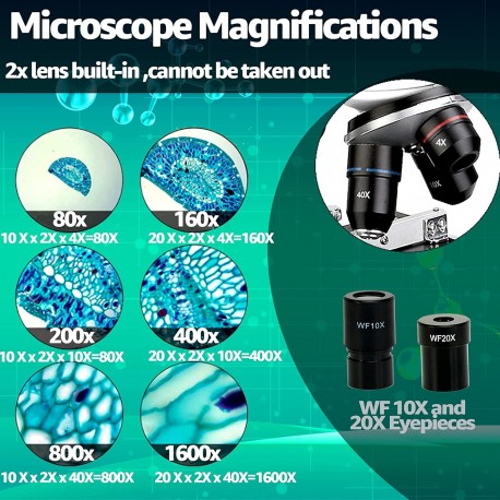 Microscopio Binocular Compuesto SvBony Sv605 80X-1600X